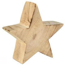 Artikel Rustik dekorativ stjerne lavet af paulownia træ - naturligt design, Ø 15 cm, 6 cm tyk - alsidig trædekoration - 2 stk.
