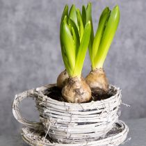 Artikel Tekop lavet af naturmateriale med rustik charme til eksklusiv indendørs dekoration 13 cm