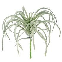 Artikel Tillandsia sukkulente kunstige grønne planter 13cm