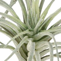 Artikel Tillandsia sukkulente kunstige grønne planter 13cm