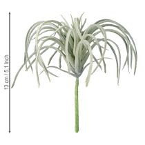Artikel Tillandsia sukkulente kunstige grønne planter 13cm