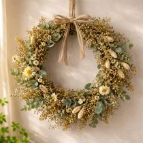 Artikel Tørrede blomster Broom Bloom Olivengrøn 160g 48cm