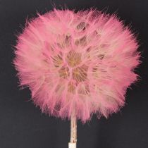 Artikel Tørrede blomster kæmpe mælkebøtte dekoration elegant boligtilbehør 12 cm 4 stk