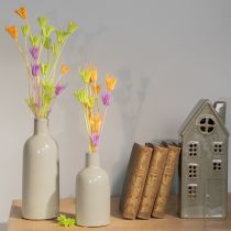 Artikel Tørrede Nigella-blomsterbuket, dekorativ brug i stuen, skaber en unik atmosfære, 70 cm, 50 g