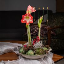 Artikel Julekugler glas grøn guld glaskugler Ø7cm 6 stk