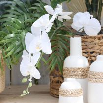 Artikel Hvid orkidé kunstig phalaenopsis Real Touch H83cm