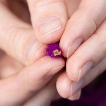 Artikel Uldsnor, lilla, 55m dekorativ snor til blomster og hobbyartikler