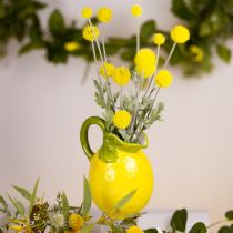 Artikel Citronvase keramik dekorativ kande citrongul H18,5cm