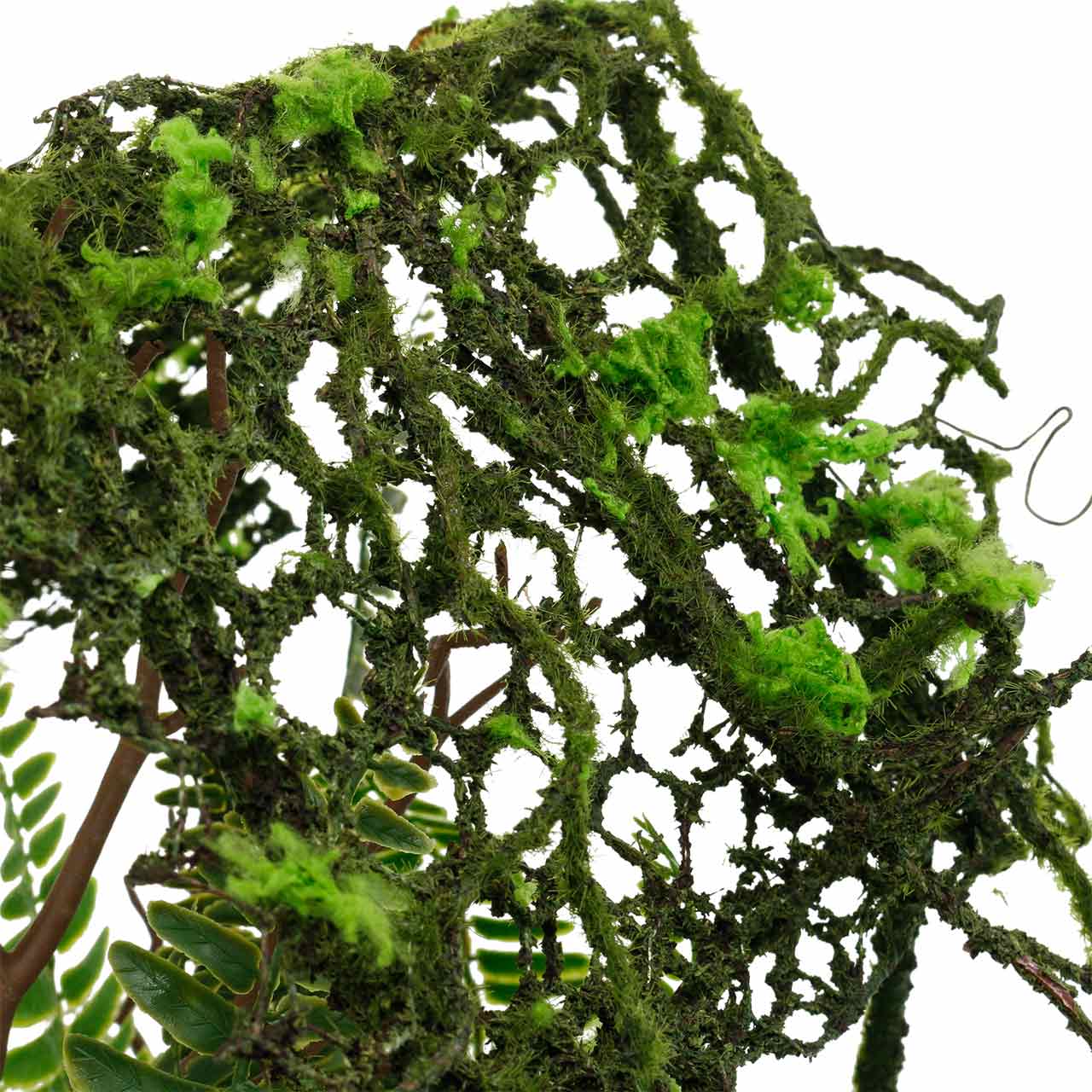 Hand Met Duim Omhoog Die Super Tegen De Muur Achtergrond Van Groen Decoratief Gestabiliseerd Mos Toont Image251957360