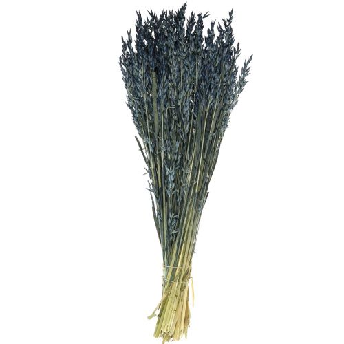Artikel Tørrede blomster, havre tørret korn dekoration blå 68cm 230g