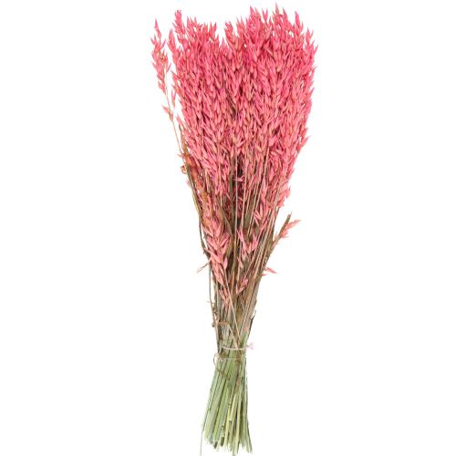 Floristik24 Tørrede blomster, havre tørret korn dekorativ pink 65cm 160g