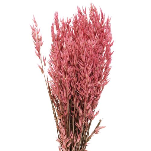 Tørrede blomster, havre tørret korn dekorativ pink 65cm 160g