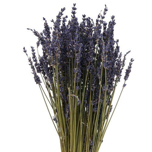 Floristik24 Tørret lavendel bundt, tørret blomster lavendel blå 38–40 cm 90g