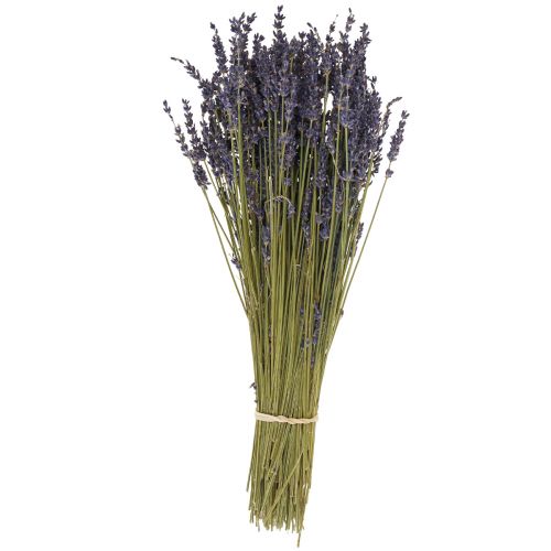 Floristik24 Tørret lavendel bundt, tørret blomster lavendel blå 38–40 cm 90g