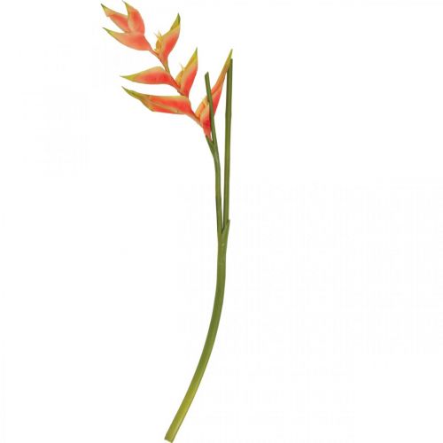 Artikel Heliconia kunstige kunstige blomster eksotisk pink, grøn H103cm