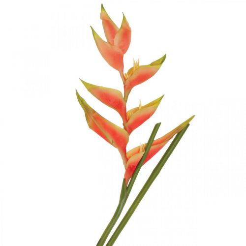 Floristik24 Heliconia kunstige kunstige blomster eksotisk pink, grøn H103cm