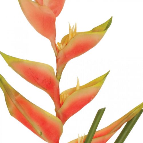 Artikel Heliconia kunstige kunstige blomster eksotisk pink, grøn H103cm