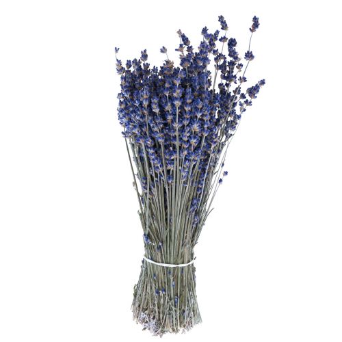 Tørret lavendel bundt tørrede blomster blå 25cm 75g