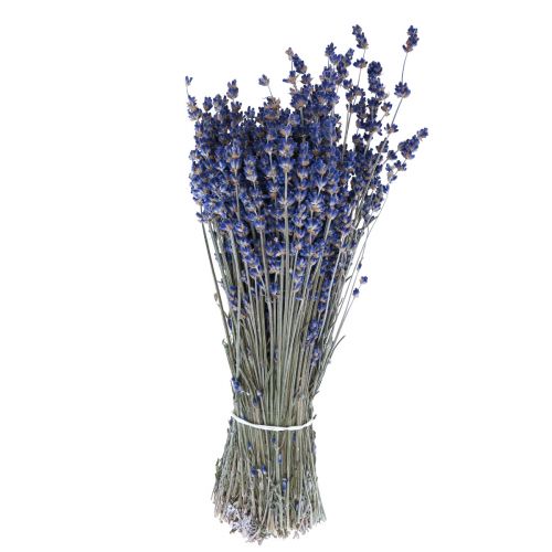 Artikel Tørret lavendel bundt tørrede blomster blå 25cm 75g