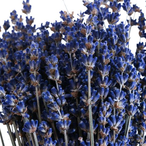 Tørret lavendel bundt tørrede blomster blå 25cm 75g