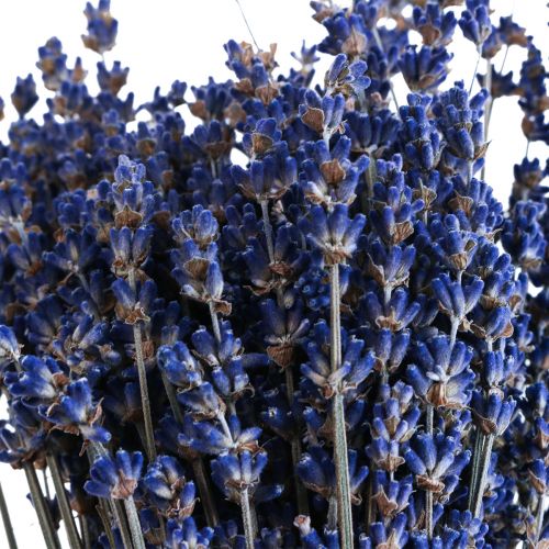 Artikel Tørret lavendel bundt tørret blomst blå 25cm 75g