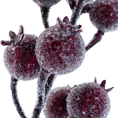 Floristik24 Hybengren bærgren frost kunstplante rød 25cm 12stk