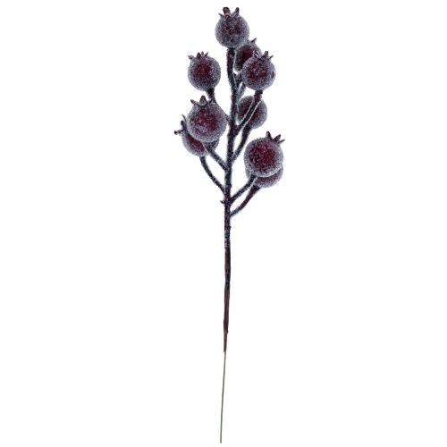 Floristik24 Hybengren bærgren frost kunstplante rød 25cm 12stk