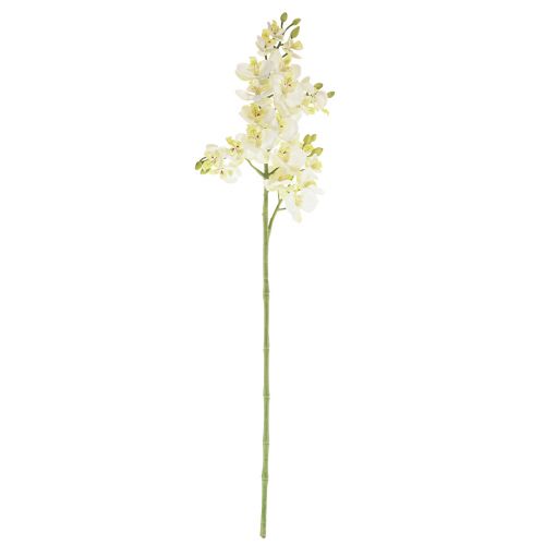 Floristik24 Phalaenopsis Kunstige Orkideer Kunstige Blomster Hvide 70cm