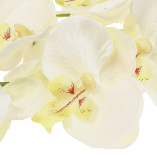 Floristik24 Phalaenopsis Kunstige Orkideer Kunstige Blomster Hvide 70cm