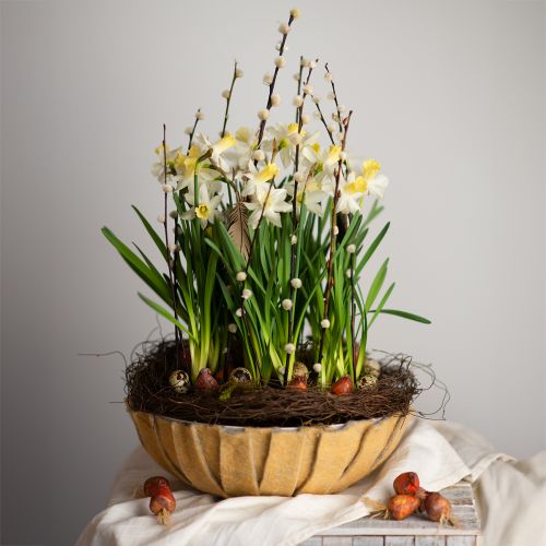 Floristik24 Rund plantekasse, blomsterdekoration, plastskål, beholder til arrangement grøn, hvidbroget H8,5cm Ø30cm