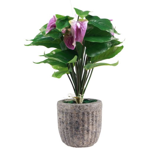 Floristik24 Kunstige blomster kunstige anthurium kunstige planter i potte 41cm