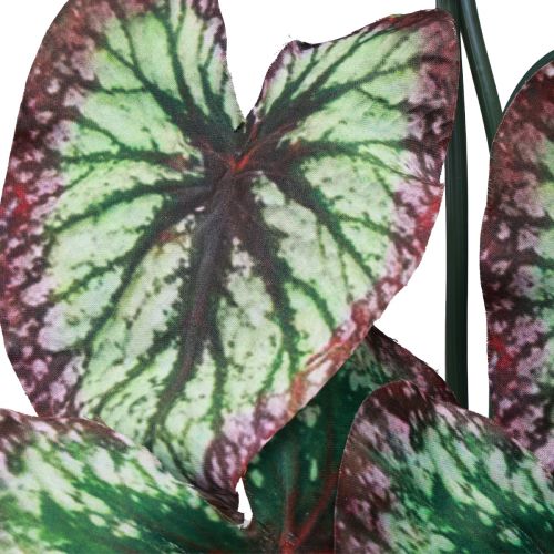 Artikel Begonia Kunstige Planter Blad Begonia Grøn Lilla 62cm