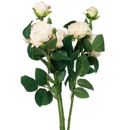 Floristik24 Artificial Roses Creme Artificial Roses Dry Look 53cm 3stk