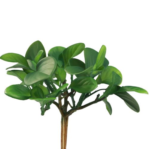 Artikel Kunstig grøn plante sukkulent kunstgrøn H14cm