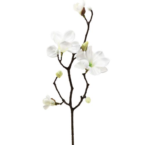 Floristik24 Kunstig blomst magnolia gren magnolia kunstig hvid 58cm