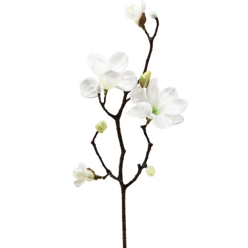 Floristik24 Kunstig blomst magnolia gren magnolia kunstig hvid 58cm 3 stk