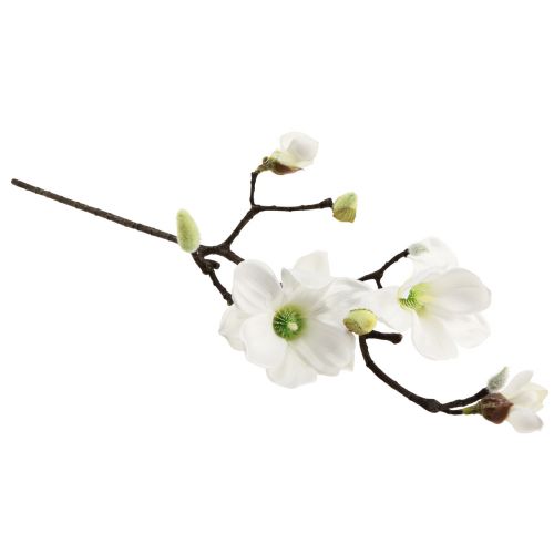 Floristik24 Kunstig blomst magnolia gren magnolia kunstig hvid 58cm 3 stk