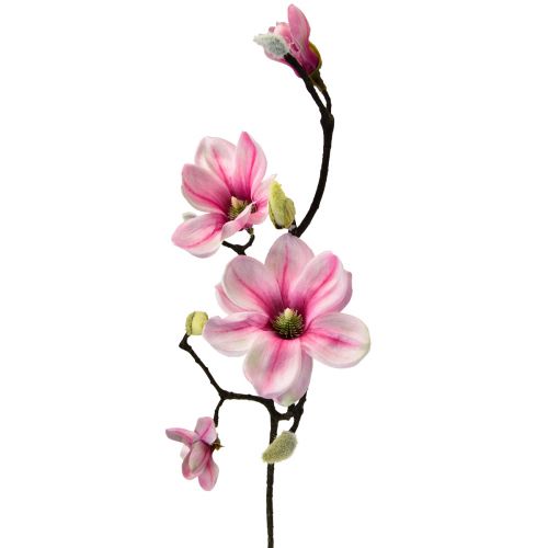 Floristik24 Kunstig blomst magnolia gren magnolia kunstig pink 59cm