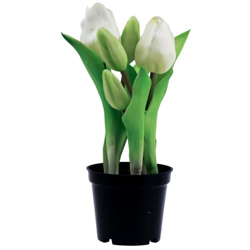 Floristik24 Kunstige tulipaner i potte Hvide tulipaner kunstige blomster 22cm