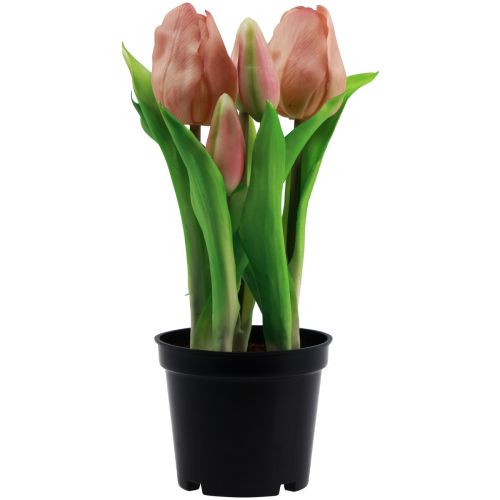 Floristik24 Kunstige tulipaner i potte Tulipaner Fersken kunstige blomster 22cm
