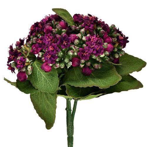 Flaming Käthchen Kalanchoe kunstlilla 24cm
