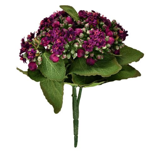 Artikel Flaming Käthchen Kalanchoe kunstlilla 24cm