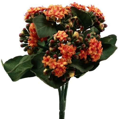 Floristik24 Flaming Käthchen Kalanchoe kunstig orange 24cm