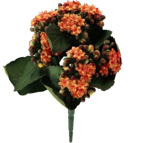 Artikel Flaming Käthchen Kalanchoe kunstig orange 24cm