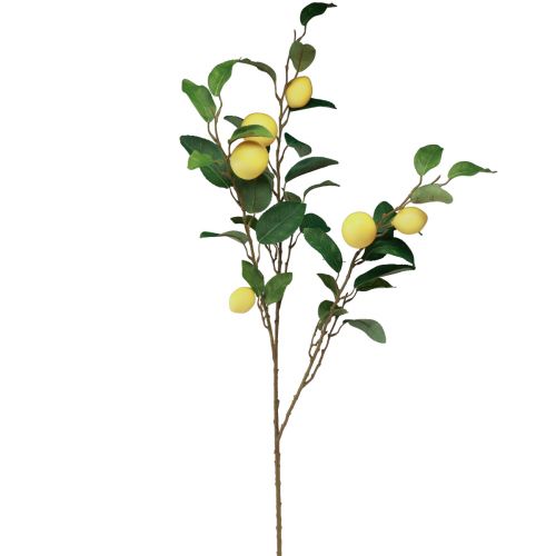 Floristik24 Dekorativ citrongren med 6 kunstige citroner 100cm