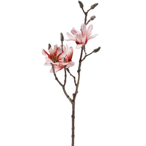 Floristik24 Magnolia gren magnolia kunstlaks 58cm