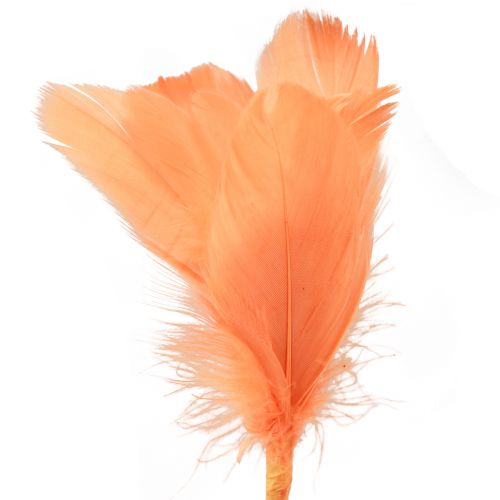 Artikel Dekorative fjer orange fuglefjer på pind 36cm 12 stk