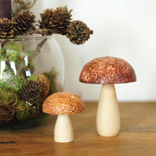 Artikel Træsvampe dekorative svampe borddekoration efterår brun natur 5×6cm 8 stk