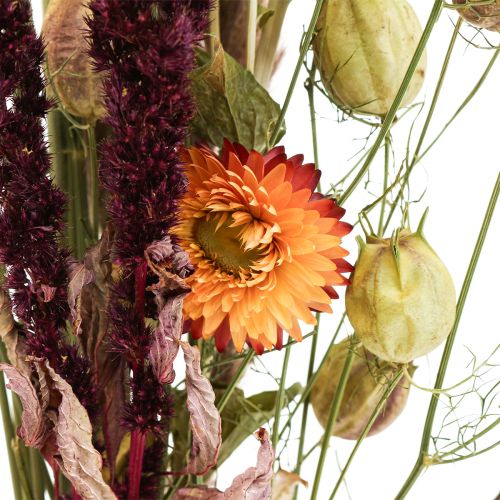 Artikel Buket tørrede blomster halmblomster orange lilla 55cm 70g