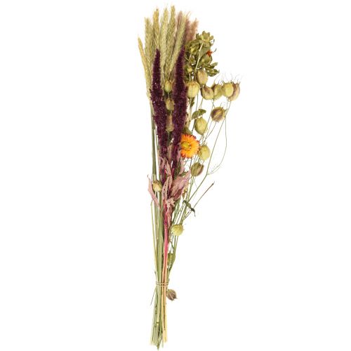Floristik24 Buket tørrede blomster halmblomster orange lilla 55cm 70g